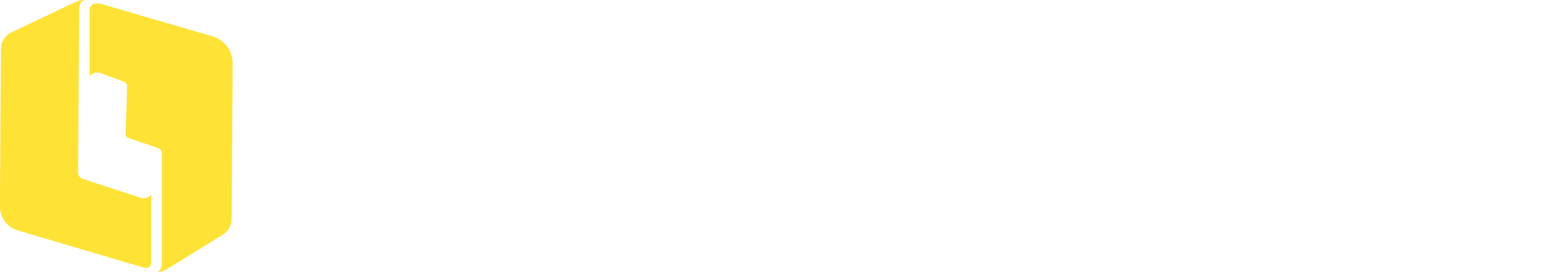 Langger Safe Store logo