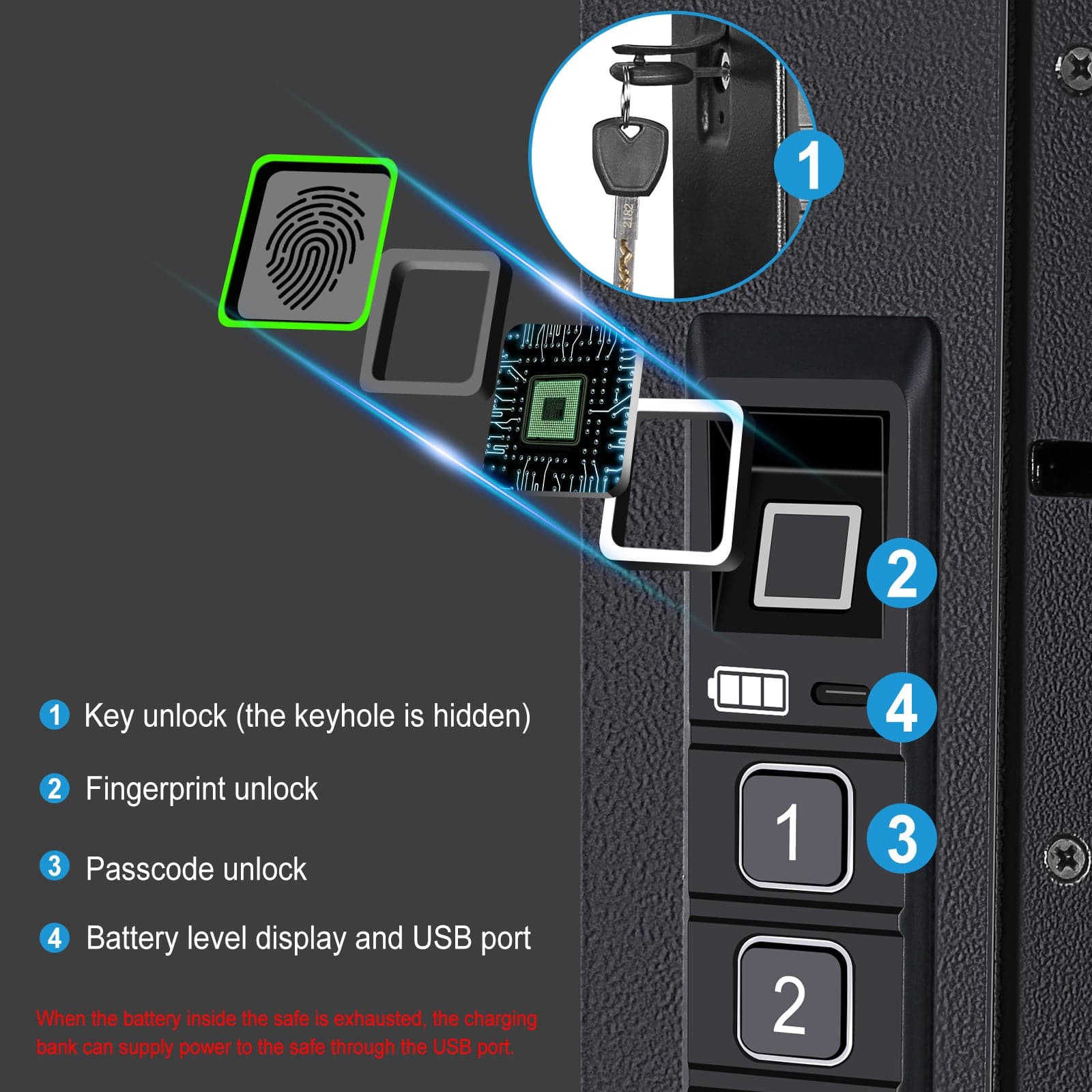 Biometric Wall Gun Safe, Large - LAWS009